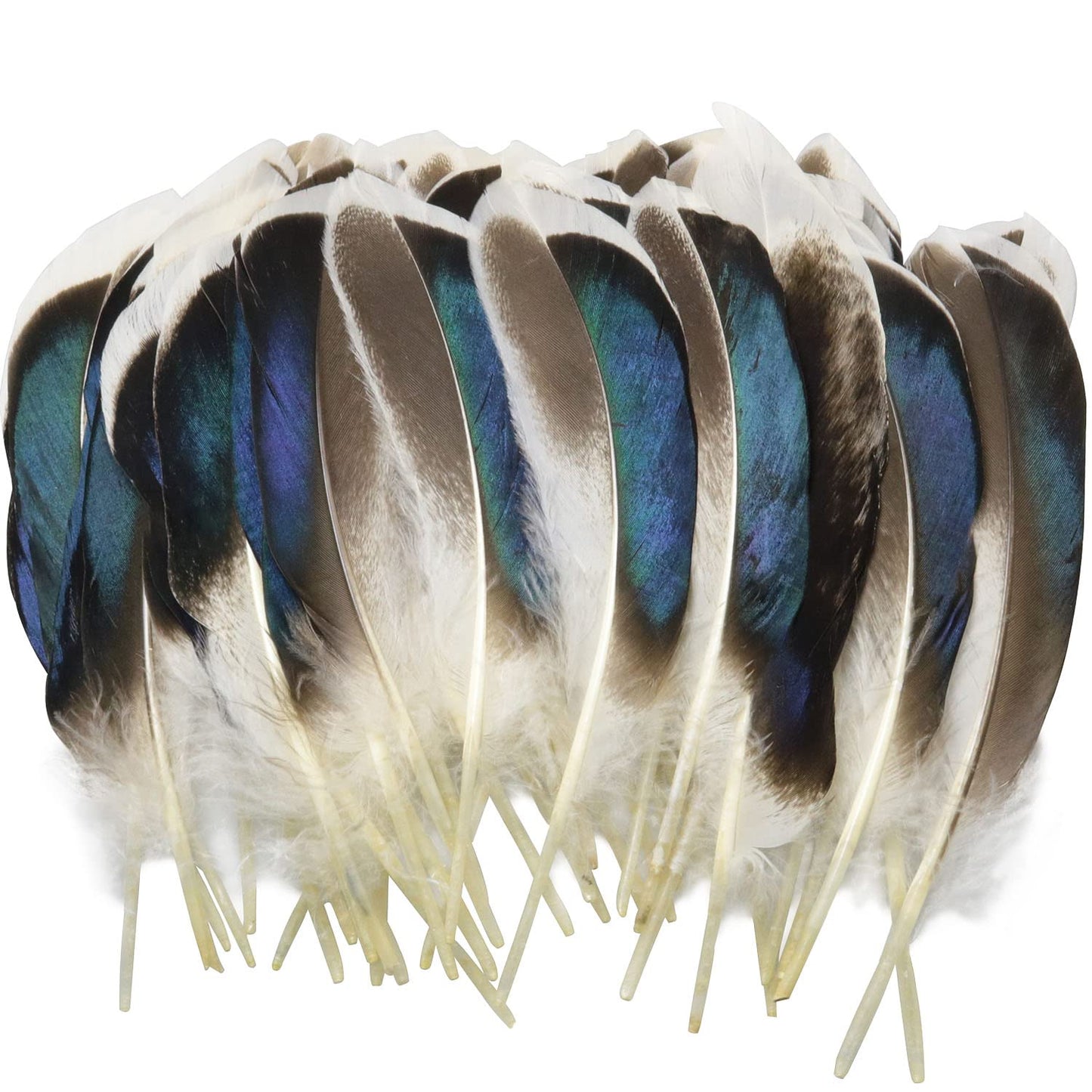 LUORNG 150PCS Duck Feathers, Natural Feather for DIY Craft Art, Decor Feathers for Carnival Halloween Handwork Clothing Costumes Hair Hats Crafts Home Wedding Party Decoration