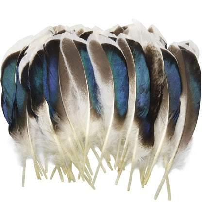 LUORNG 150PCS Duck Feathers, Natural Feather for DIY Craft Art, Decor Feathers for Carnival Halloween Handwork Clothing Costumes Hair Hats Crafts Home Wedding Party Decoration