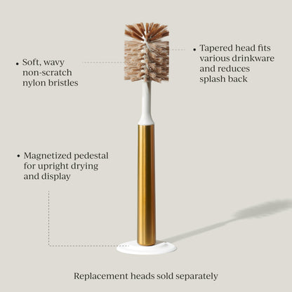 Curio Home Goods Ionic Bottle Brush, Magnetized to Stand Upright, Stainless Steel with Replaceable Head, Brass/Gold