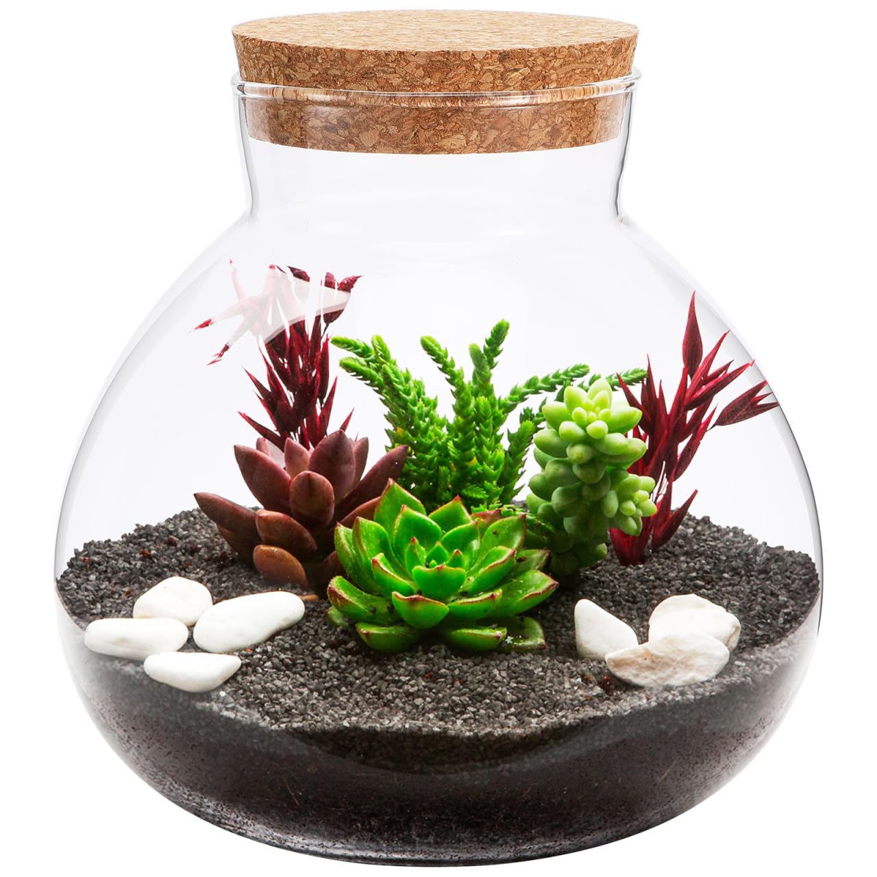 Toddmomy Glass Terrarium Bottle with Cork Lid, Closed Micro Landscape Round Jar, Desktop Moss Container for DIY Fairy Garden and Plant Ecosystem