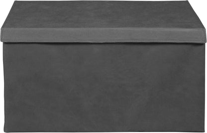 Niche Cubo Foldable Fabric Storage Trunk with Label Holder - Grey