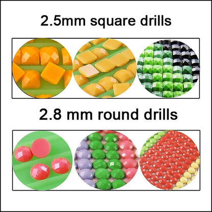 Vilihkc 447 Colors Square Beads for Diamond Painting Accessories,Rhinestones Diamond Painting Beads,Sparkle Rhinestones for Nails Diamond Art Crafts