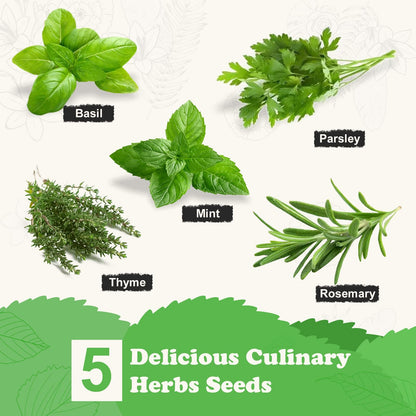 Meekear 5 Herb Seeds Garden Starter Kit with Complete Planting Kit & Wooden Flower Box, Growing into Basil, Parsley, Rosemary, Thyme, Mint for Kitchen Windowsill Herb Garden DIY