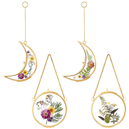 Qunclay 4 Pcs Pressed Flower Frames Bulk Double Glass Floating Hanging Photo Frame Sun Moon Clear Pressed Flower Decor with Chain for DIY Crafts Artwork Display Gallery(Gold,3.5 x 2.5 Inch)