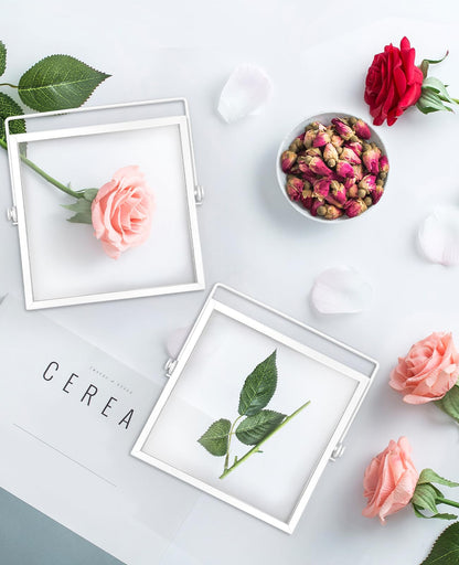 AceList Metal Picture Frames, Set of 3 Ornate Minimal Floating Edge Clear Glass Table Top Easel Stand Photo Frames in White, 8 x 10, Assortment Variety