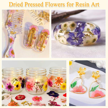 200 Pcs Dried Pressed Flowers for Crafts, 20 Sheets Real Dry Florals and Leaves Bulk with Tweezer for Resin Molds Candle Soap Making Scrapbook Bookmarks Frames Supplies Kit Nail Art Makeup Decor