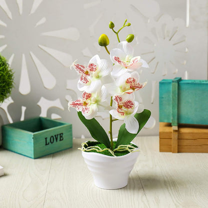 Artificial Phalaenopsis Flower Pot, Bonsai Ornament for Home Landscape Decor, White Flower for Beautiful Vitality