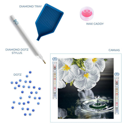 DIAMOND DOTZ Water Droplet Diamond Painting Kits for Adults - Diamond Art Kits a Relaxing Creative Craft Kit with Dotz Gems 14x13