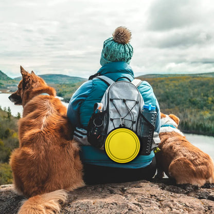 Collapsible Dog Bowls-2 Pack Large Size for Large/Medium Dogs, Pet Travel Water Bowl, Dogs Cat Portable Water Bowl, Dog Pet Feeding Watering Dish Outdoor Hiking Parking Traveling with 2 Carabiners