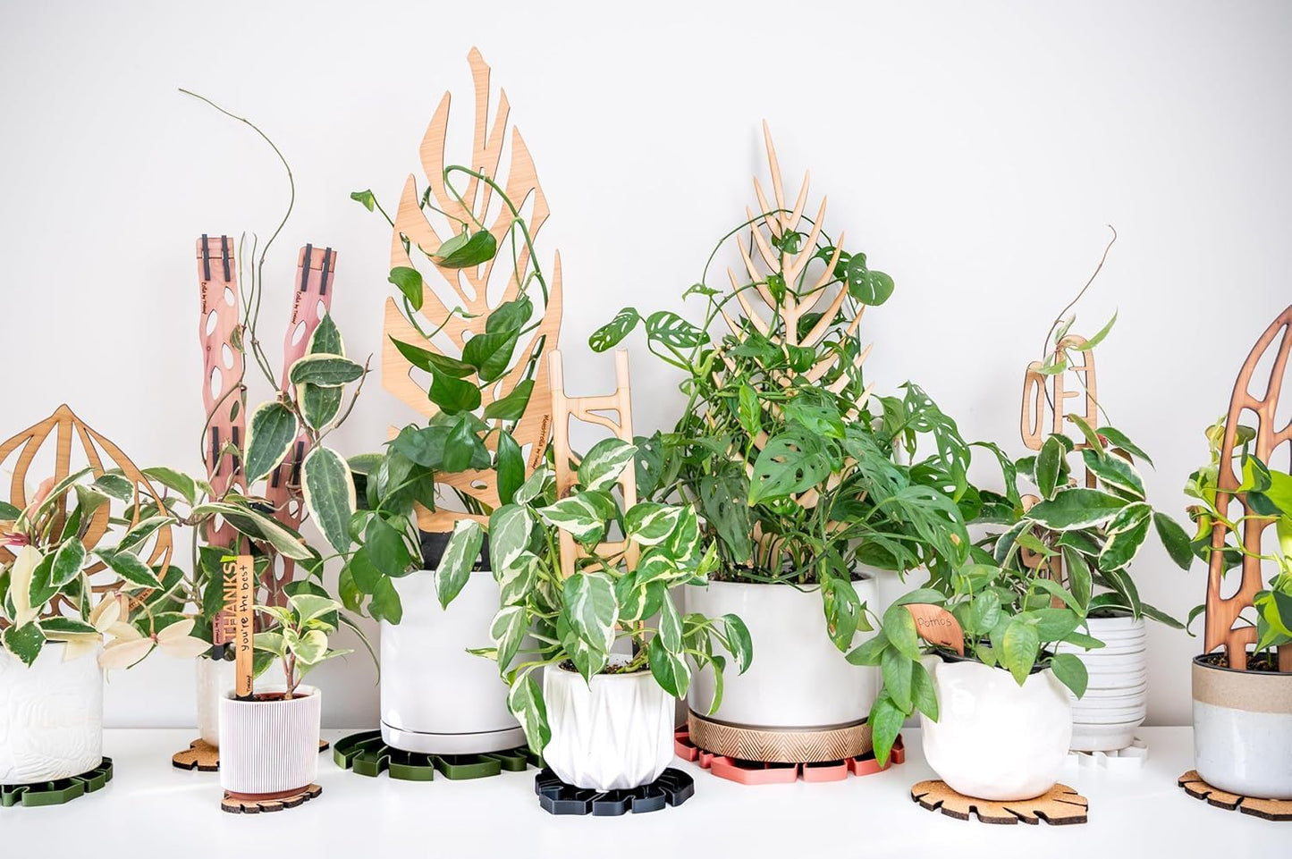 Treleaf Zella Regular Extension Kit (2 Extensions) - Wooden Extendable Plant Trellis for Indoor Climbing Houseplants - Modular Plant Support
