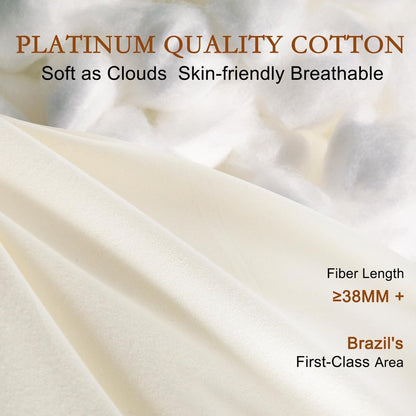 YOUR MOON Soft Natural Wool Pillow Queen, Flat & Thin Wool Pillow for Sleeping, Low-Loft Bed Pillows for Back and Stomach Sleepers, Breathable Soft Cotton Cover(Off White)