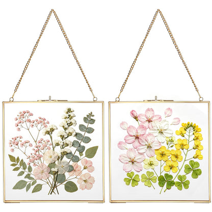 JUXYES 2 Pack Wall Hanging Brass Frame for Pressed Flowers, Glass Floating Frames for Display Dried Flowers Artwork, Double Glass Floating Style Square Gallery Wall Frame for Plants Photo Picture Poster etc
