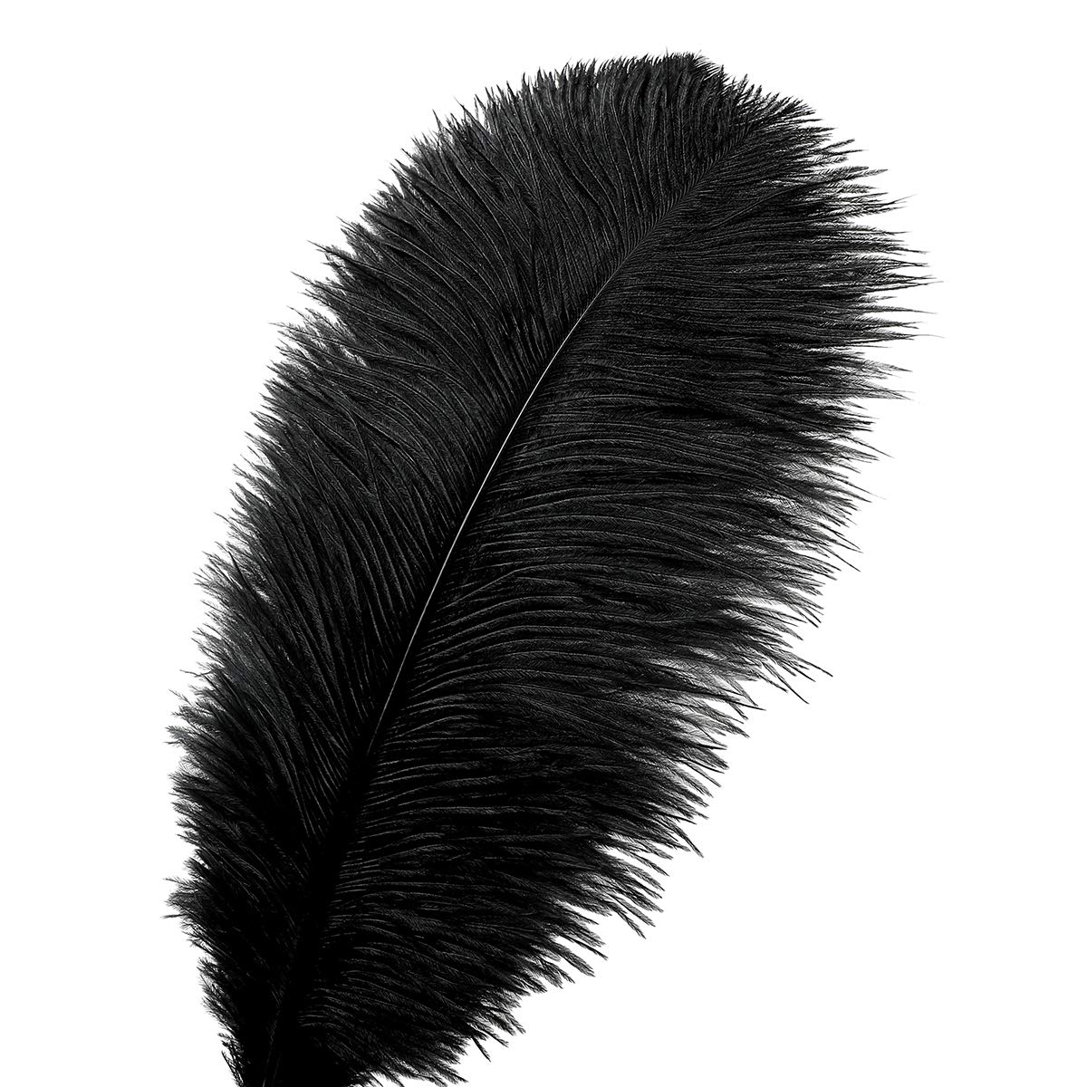 Ballinger 24Pcs 10-12inch Black and White Ostrich Feathers Bundles for Wedding Party Home