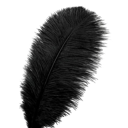 Ballinger 24Pcs 10-12inch Black and White Ostrich Feathers Bundles for Wedding Party Home
