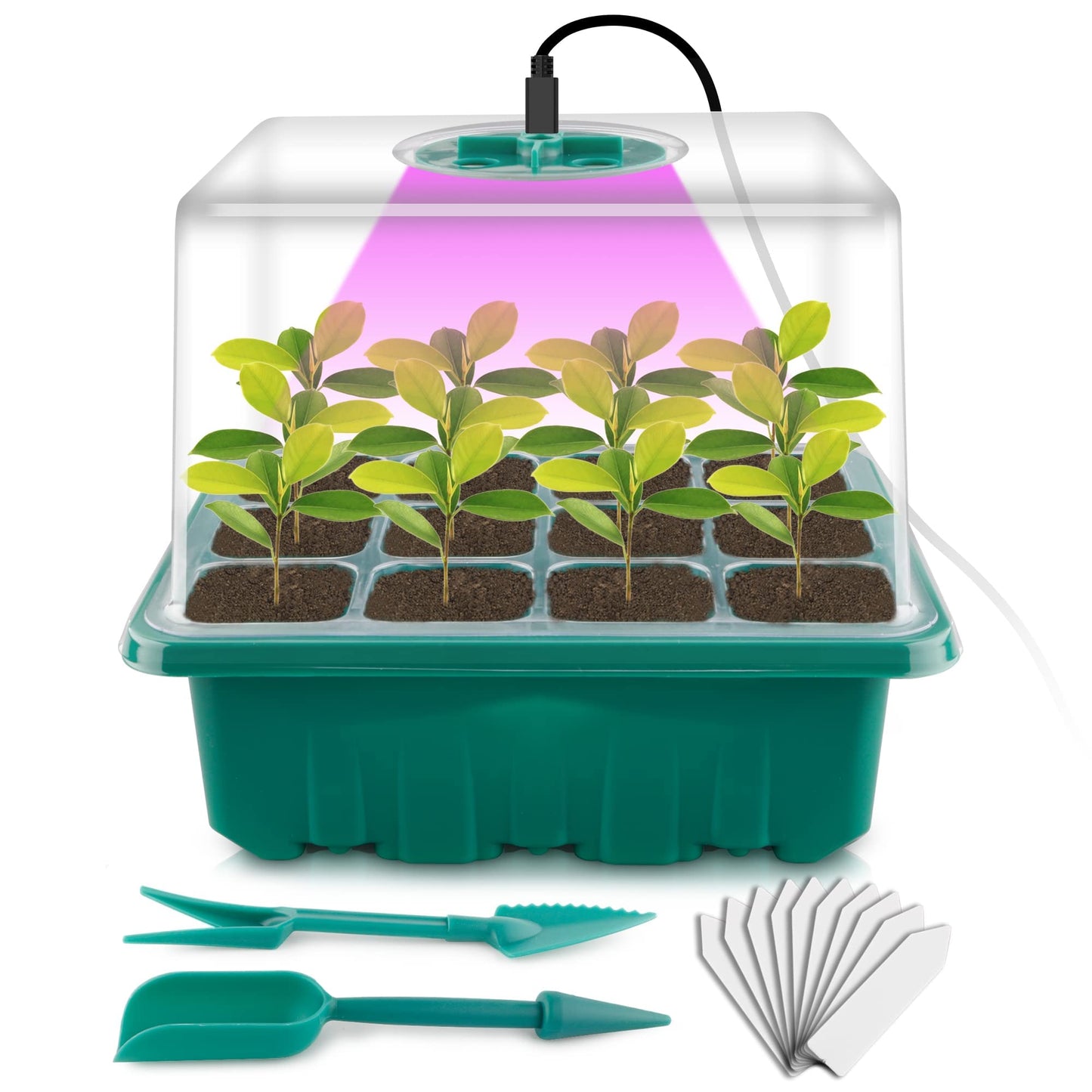 NEWKITS Seed Starter Tray with Grow Light, Seed Starter Kit, Plant Germination Starting Trays with Humidity Dome and Base for Greenhouse Grow Wheatgrass Hydroponic(12 Cells per Tray)(with Grow Lights)