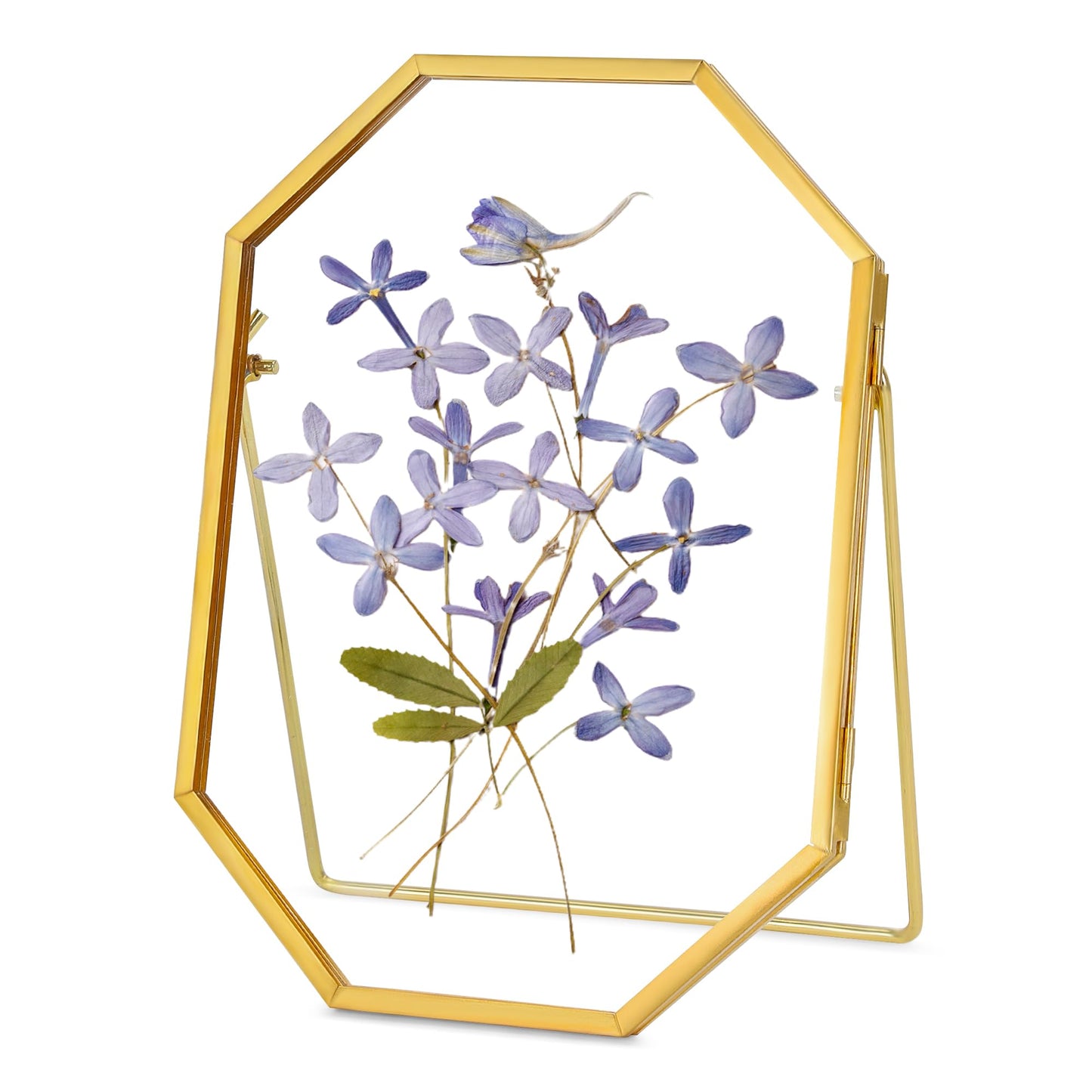 REDHUGO Glass Pressed Flower Frame Handmade, Metal Floating Picture Frame, Double Glass for Tabletop Display, Unique Brass Octagon, Gold, 5x7 Inches (Frame Only)