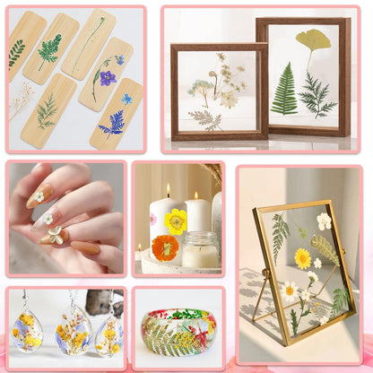 210 Pcs Dried Pressed Flowers for Resin, Dried Pressed Flowers for Crafts, Bulk Natural Dried Flowers Kit with DlY Butterfly Stickers&Tweezers for Resin Molds, Candles, Soap,Jewelry Making, Art Crafts
