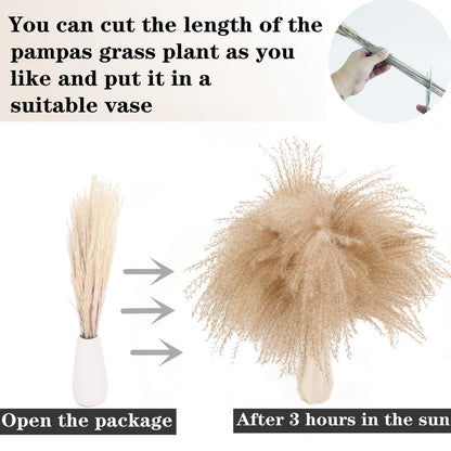 300 PCS Dried Flower Bouquet – Pampas Grass, Floral Decor for Home, Wedding, and Boho Style | Perfect for Vases, Fall, Spring, Summer, and Winter Arrangements