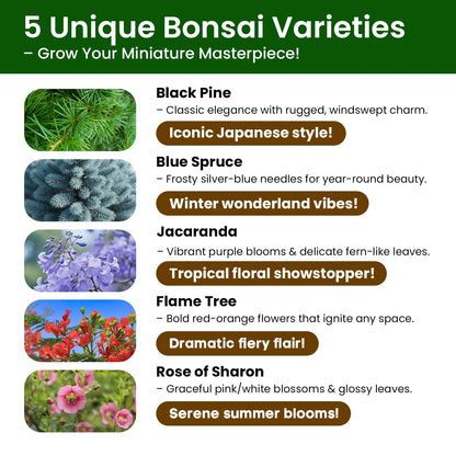 Bonsai Tree Kit for Beginners - 5 Unique Japanese Bonsai Seeds, DIY Indoor Gardening Crafts for Adults | Valentine's, Mother's Day & Birthday Gifts for Women and Men | Complete Starter Kit with Tools
