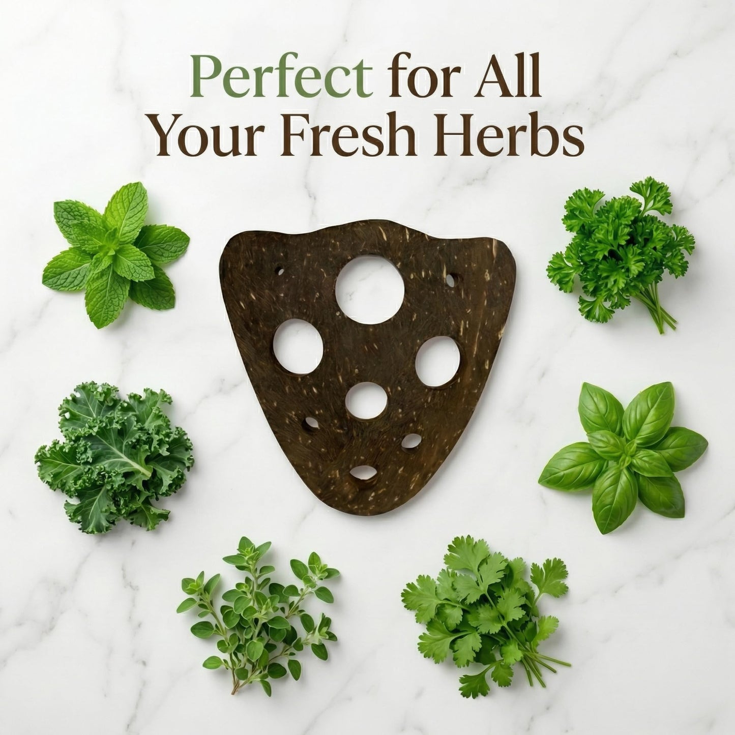 All-Natural Herb Stripper Tool for Fresh Herbs | 9-Hole Kale, Rosemary and Thyme Peeler | Eco-Friendly Kitchen Gadget | Metal & Plastic Free Herb Stripping Tool for Cilantro, Basil, Chard & More