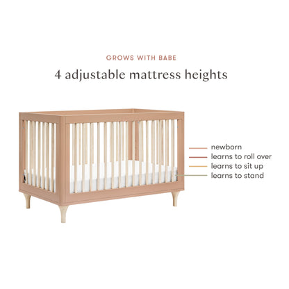 Babyletto Lolly 3-in-1 Convertible Crib with Toddler Bed Conversion Kit in Canyon/Washed Natural, Greenguard Gold Certified