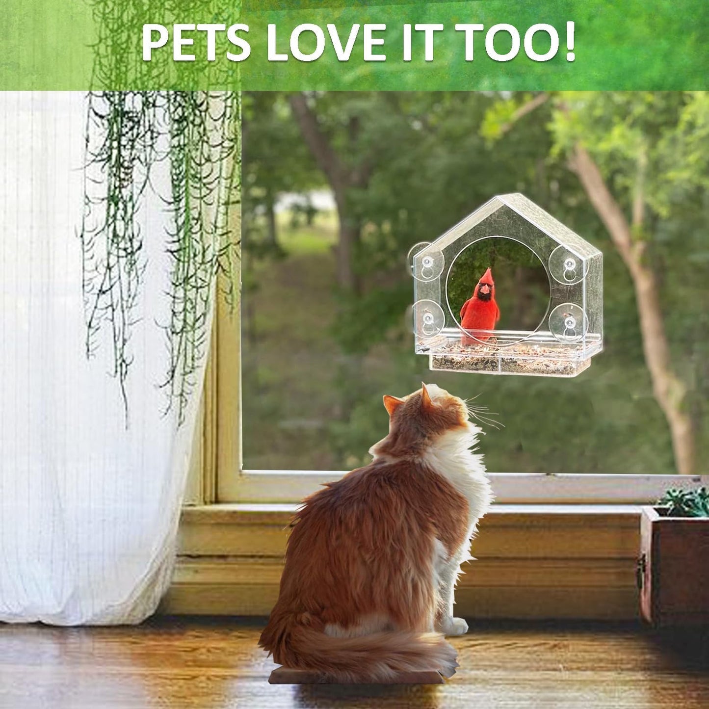 Window Bird Feeders with Strong Suction Cups - Clear Feeders for Outside, Easy to Clean, Perfect for Garden Viewing