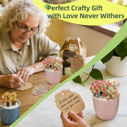 Microland Craft Kits for Teens Crafty Clay Kit for Succulents Flower Making Fun Adult Activities of Arts and Crafts Art Therapy Crafting Set Creative Gifts for Women Teen Girls Artist Gifts for Mom