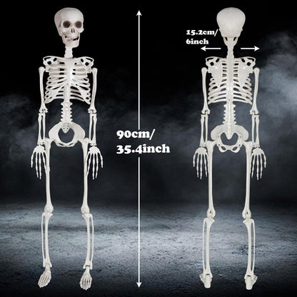 XONOR 3ft Halloween Skeleton Human Full Body Skeleton Decorations for Halloween Party Haunted House Supplies (1pc)