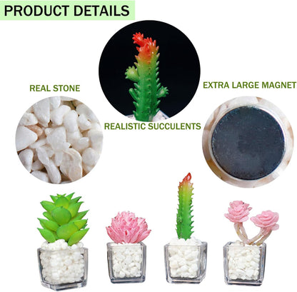 Plant Magnets for Fridge, Succulent Artificial Plants Refrigerator Magnets, Funny 3D Resin Decorative Set of 4