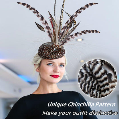 Holmgren Natural Chinchilla Feathers Bulk - 60pcs 12-14inch Natural Long Rooster Chinchilla Tail Feathers Bulk for DIY Crafts Hats Costume, Holiday Themed Party Decoration (Chinchilla)
