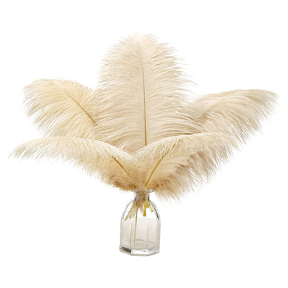 Ballinger Champagne Ostrich Feathers Bulk - 12Pcs 12-14inch Large Boho Feathers for Vase，Wedding Party Centerpieces Home and Pampas Grass Decor