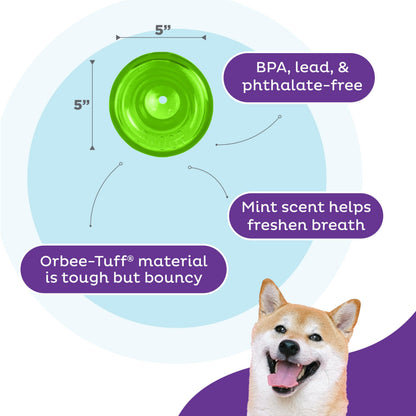 Outward Hound by Planet Dog Snoop Durable Interactive Treat Dispensing Dog Toy, Large, Green