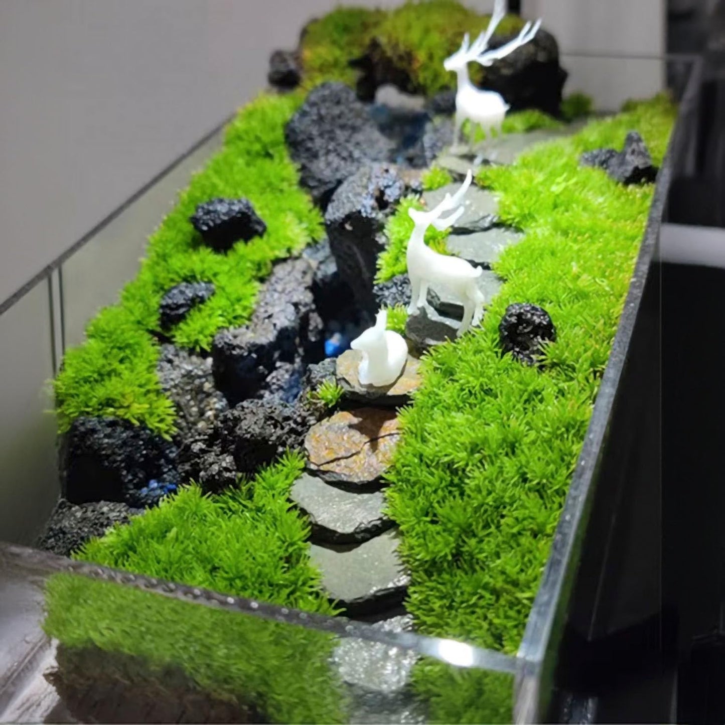 XRI XURUOYI 10Pcs Natural Miniature Small Stepping Stone Figure.Fairy Garden Supplies.Terrarium Accessories.Pathway Stones.Stairs.Shrimp Tank Decor.Bonsai Forest/Patio Pots Decoration.