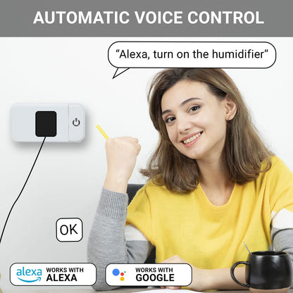 Smart Plug - 2 Pack Smart Home 2.4G Wi-Fi Plugs Outlet Works with Echo, Alexa & Google Home | Smart Plug for Home with Timer, Remote,Voice & Group Controller | No Hub Required