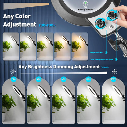 KIRKAS 12X Magnifying Glass with Light and Stand, Overhead Knob Magnifying Lamp for Workbench Craft, Sewing, LED Lighted Magnifier Real Glass Lens Adjust Arm Stepless Dimming and Color(22in Clamp)