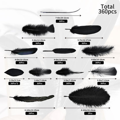 Daieeparty Black Craft Feathers Bulk-360pcs 12 Style Mixed Natural Feathers for Wedding Home,Dream Catcher Supplies and DIY Crafts (Black)