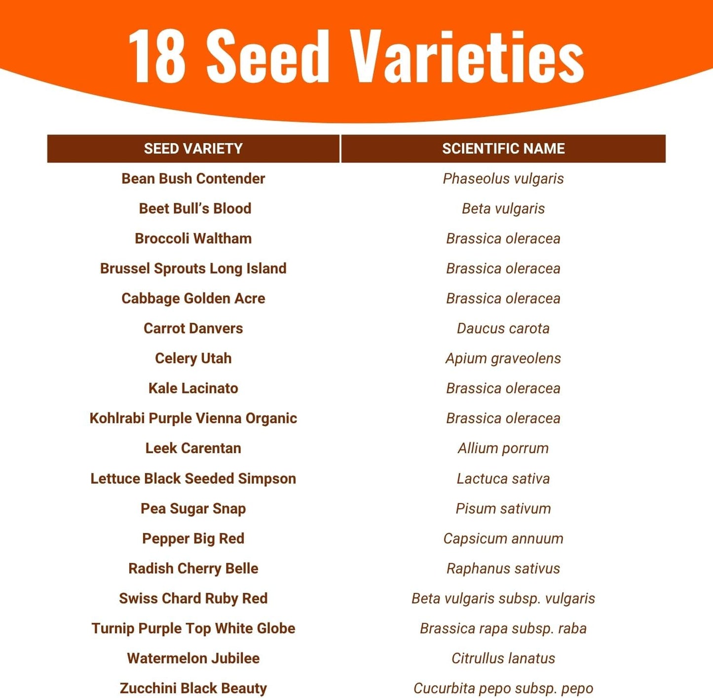 |15,000 18 2026 Open Seed Vault Heirloom Seeds | Seed Types | Survival Seeds | Season | Non GMO Vegetable and Fruit