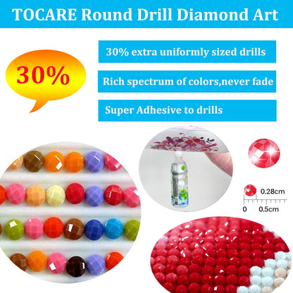 TOCARE 2 Pack Diamond Art Kits for Adults, Mountains Diamond Painting Kits Flowers, Large Size Diamond Art Kits for Adults Nature Scenery 16x28inch Home Wall Decor