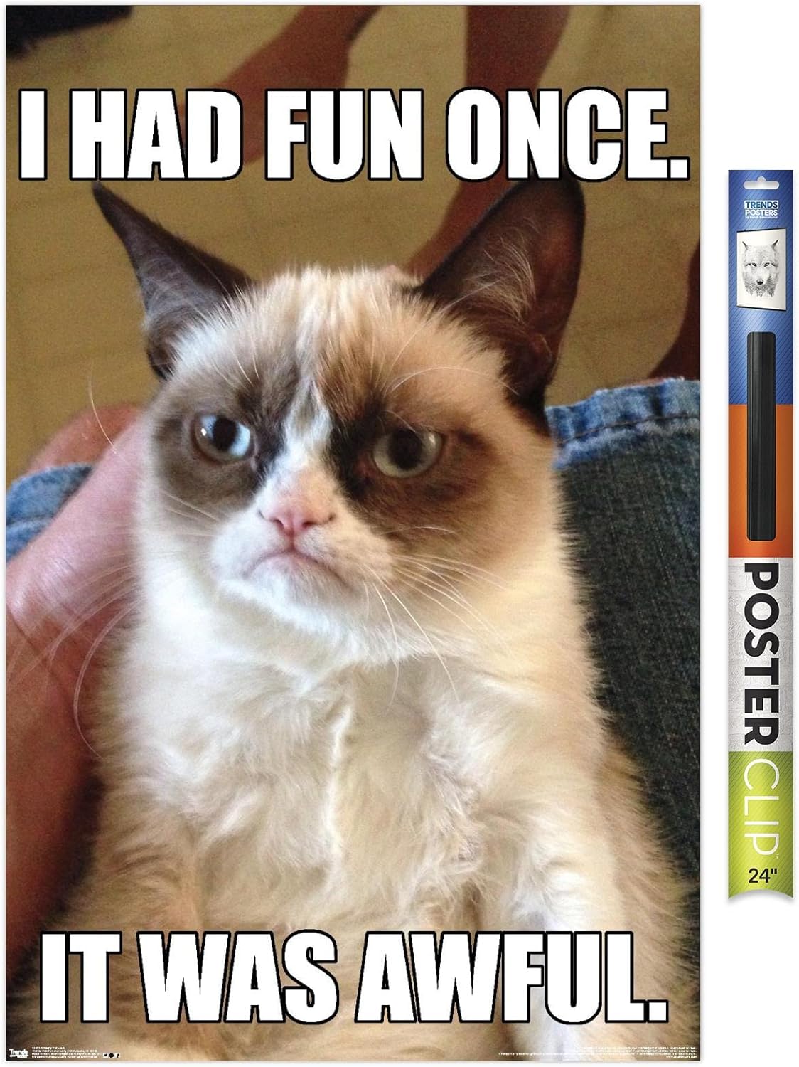 Trends International Grumpy Cat - Fun Wall Poster, Premium Poster & Clip Bundle, 22.375" x 34"