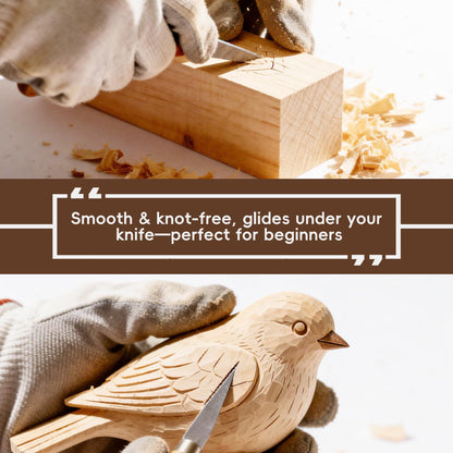 Basswood Carving Blocks: 16 Pieces in 5 Sizes with Oversized Blanks | Soft, Versatile Wood Blocks for All Your Whittling and Craft Projects ﻿