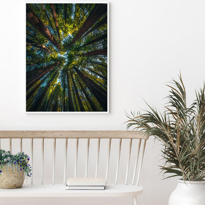 KAYEIUU 5D Diamond Art Painting Kits Large Redwood Trees Seen from Looking Up DIY Round Full Drill Diamond Paint by Diamond Number Kits for Beginners Crystal Cross Stitch Wall Decoration 30x40cm