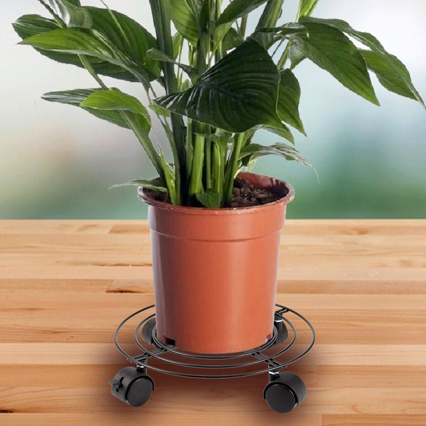 3 Pack 10.6 Inches KEILEOHO Metal Plant Caddy with Wheels, Heavy Duty Plant Caddy Stands, Rolling Plant Stand