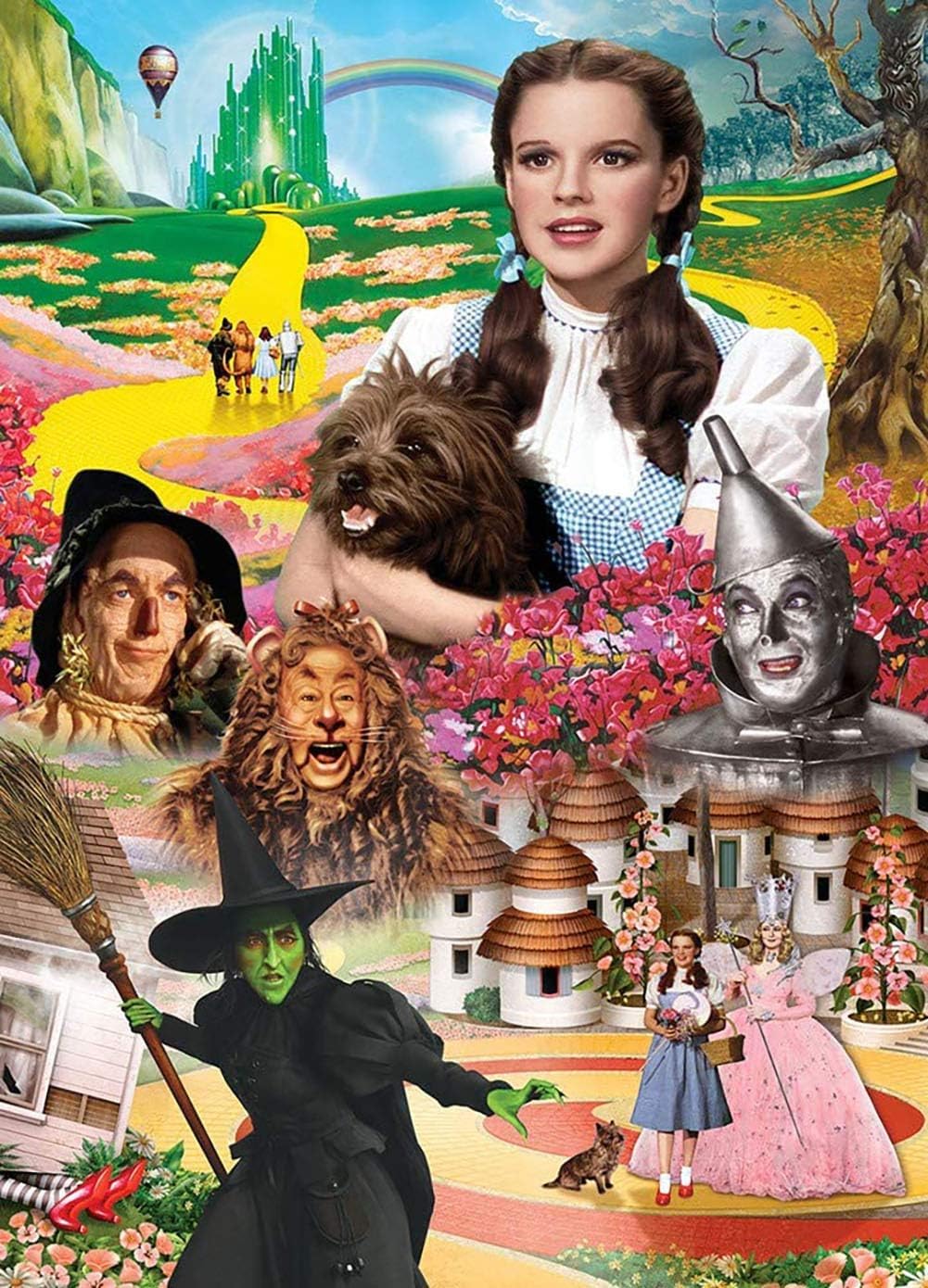 DIYPAINTING 5D Diamond Art Painting by Number Kits Wizard Movie of Oz 16X20 Painting Cross Stitch Full Drill Crystal Rhinestone Embroidery Pictures Arts Craft for Home Wall Decor