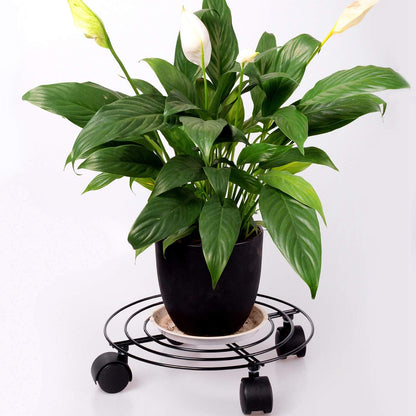 2 Packs 10.6 110Lbs 360 KINJOEK In Metal Plant Stand with Wheels, Load Max Round Flower Pot Plant Caddy Outdoor