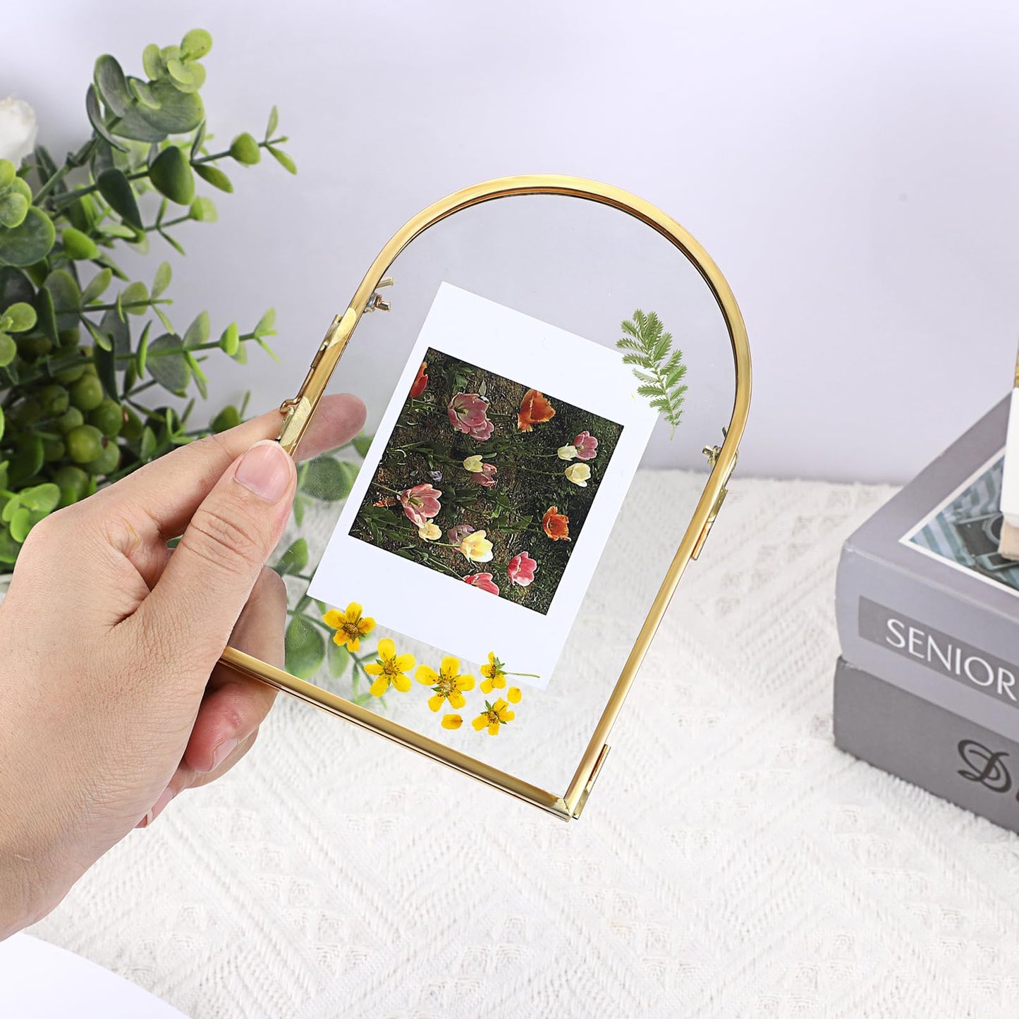 OGANAZI 4x6 Inch Double Glass Pressed Flower Frame - Golden Floating Frames for Dried Flowers, Art, Photos | Vintage Pressed Flower Frame Tabletop Display Holder for Home Plant Specimen (Half Circular)