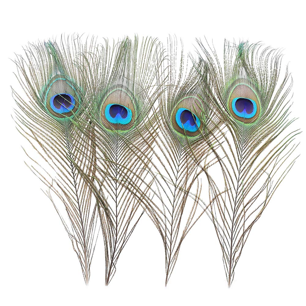 60 PCS Real Natural Peacock Eye Feathers 10-12 inch for DIY Craft, Wedding and Holiday Decorations