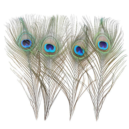 60 PCS Real Natural Peacock Eye Feathers 10-12 inch for DIY Craft, Wedding and Holiday Decorations
