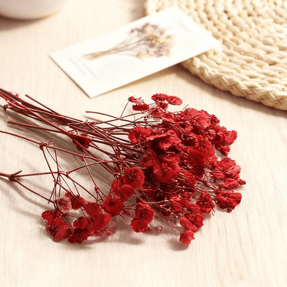 QinXunTa 9 Pack Dried Flowers, Natural Pressed Flowers Kit for DIY Crafts, Scrapbook, Card Making,9 Colors