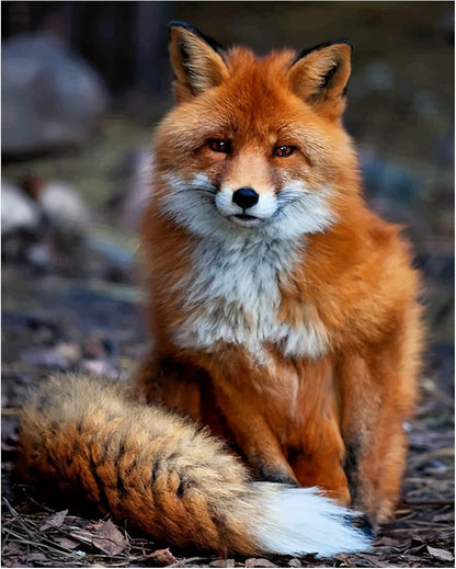 8x10" "Cute Woodland Fox" Wall Art Print - Unframed Forest Animal Print Ideal For Home decor, Nursery Decor,Woodlands