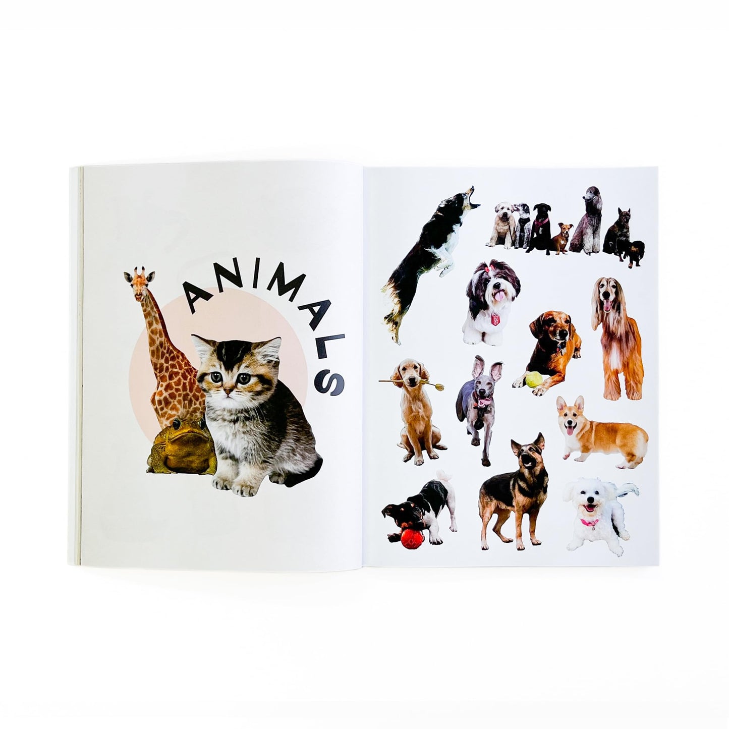 Collage Kit Vol. 2: 1000+ Images for Junk Journaling, Vision Boarding & DIY Crafts | 230-Page Creative Magazine with Perforated Pages, Prompts & Art Inspiration for Beginners & Pros (Volume 2)